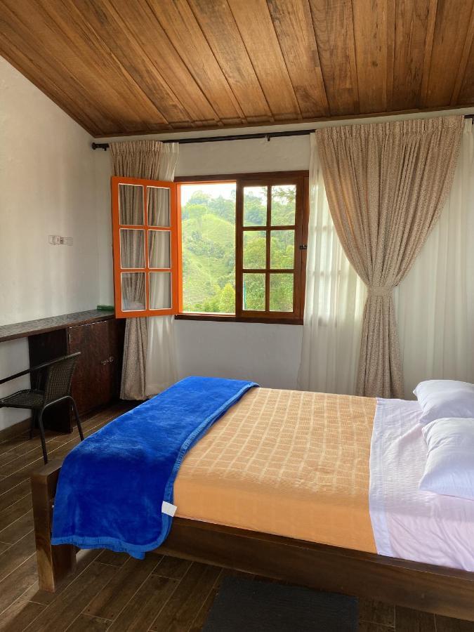 סאלנטו Ecohotel Entrebosques מראה חיצוני תמונה